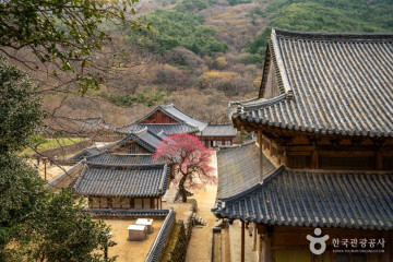 구례 장죽전 녹차시배지 여행 추천 - 메고지고