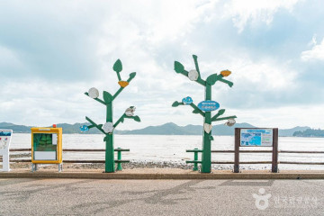 접도 여행 추천 - 메고지고