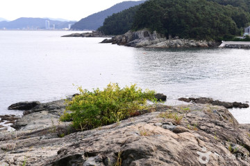 영취산(여수) 여행 추천 - 메고지고