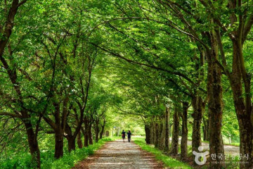 죽녹원 여행 추천 - 메고지고