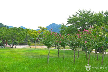가마미해수욕장 여행 추천 - 메고지고