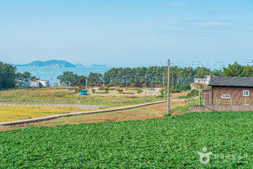 어란진항 여행 추천 - 메고지고