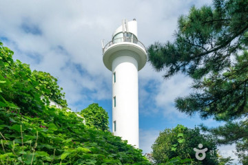 개도 여행 추천 - 메고지고