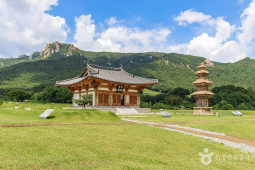 강진다원 여행 추천 - 메고지고