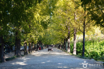 담양레이나 CC 여행 추천 - 메고지고
