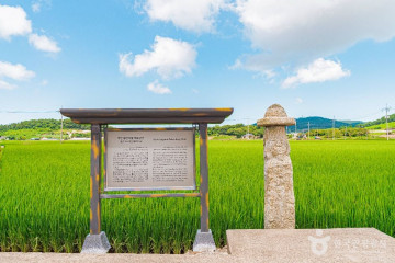 홀통유원지·홀통해변 여행 추천 - 메고지고