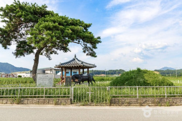 제월섬 여행 추천 - 메고지고