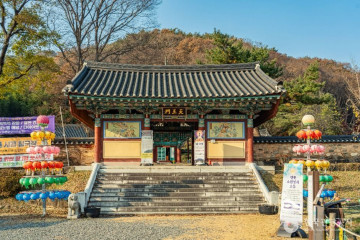 주암호 생태습지 여행 추천 - 메고지고