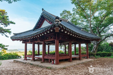 승촌보오토캠핑장 여행 추천 - 메고지고
