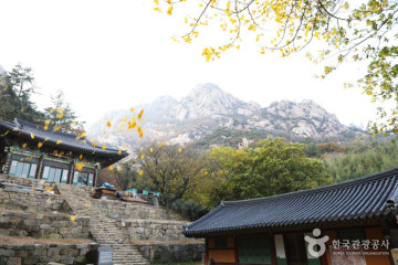 천황야영장 여행 추천 - 메고지고