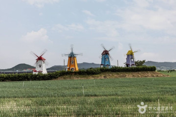 임자해변승마공원 여행 추천 - 메고지고