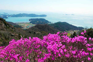 소앵무마을 여행 추천 - 메고지고