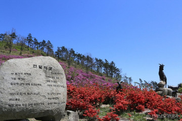 동고리해수욕장 여행 추천 - 메고지고
