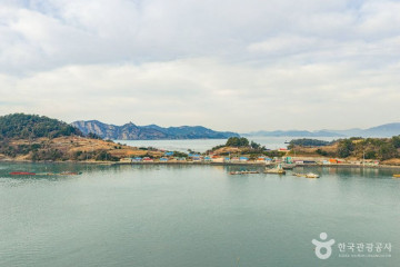 거금해양낚시공원 여행 추천 - 메고지고