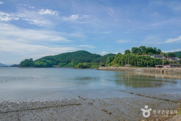 미덕도 여행 추천 - 메고지고