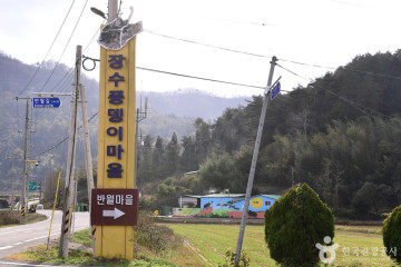 장흥댐 신풍갈대습지 여행 추천 - 메고지고