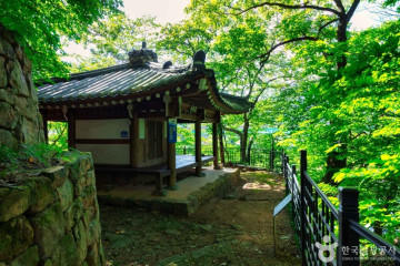고산사(장흥) 여행 추천 - 메고지고