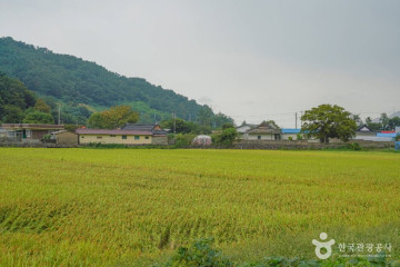 백수해안도로 여행 추천 - 메고지고