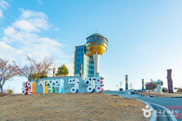 장흥 삼산리 후박나무 여행 추천 - 메고지고
