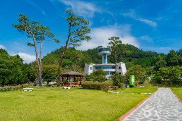 대한다원 여행 추천 - 메고지고