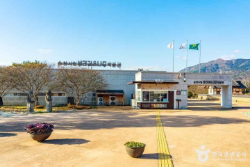 낙안읍성 벚꽃길 여행 추천 - 메고지고
