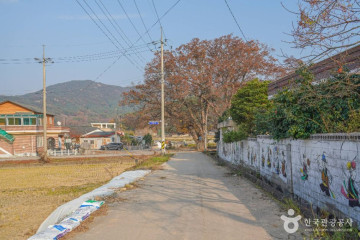 함평 양재리의 이팝나무 여행 추천 - 메고지고