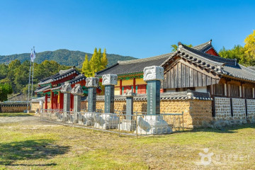한국압화박물관 여행 추천 - 메고지고