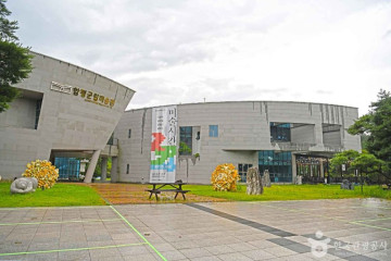 함평 기각리 붉가시나무 자생북한지 여행 추천 - 메고지고