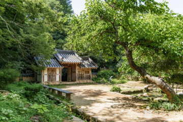 강진다원 여행 추천 - 메고지고