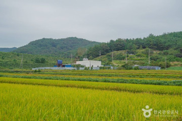 승달산 여행 추천 - 메고지고