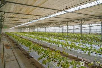 하느제캠핑장 여행 추천 - 메고지고