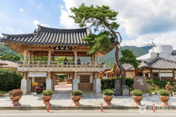 강진아트홀 여행 추천 - 메고지고