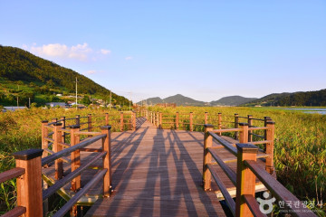 여자만갯벌 여행 추천 - 메고지고