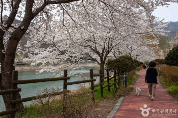 만연사(화순) 여행 추천 - 메고지고