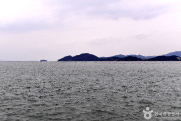 해남오시아노캠핑장 여행 추천 - 메고지고