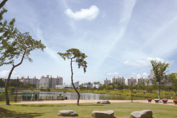 순천곤충박물관 여행 추천 - 메고지고
