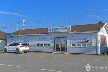 천사섬 분재공원 여행 추천 - 메고지고