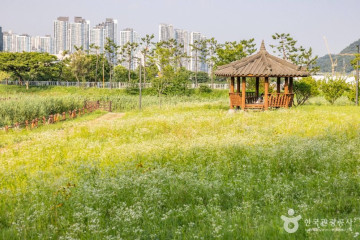 송암미술관 여행 추천 - 메고지고
