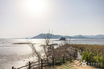 와온해변 여행 추천 - 메고지고