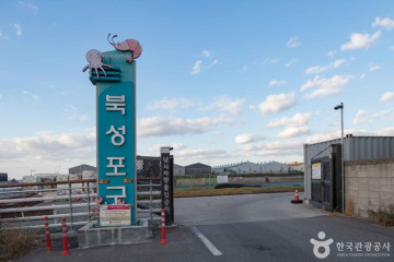 만석동 주꾸미거리 여행 추천 - 메고지고