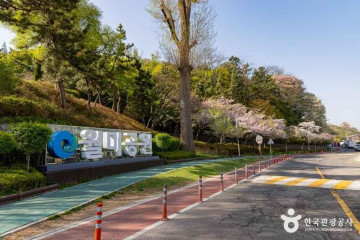 인천내항 사일로벽화 여행 추천 - 메고지고