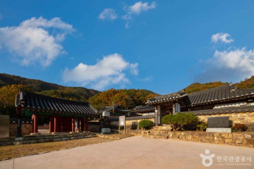 고산사(장흥) 여행 추천 - 메고지고