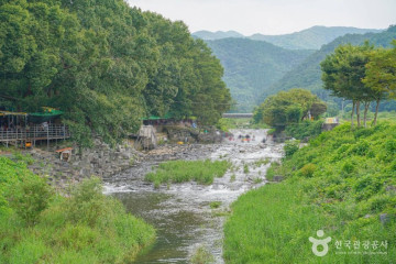 한천자연휴양림 여행 추천 - 메고지고