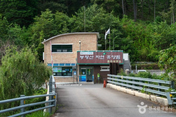 돌산항 여행 추천 - 메고지고
