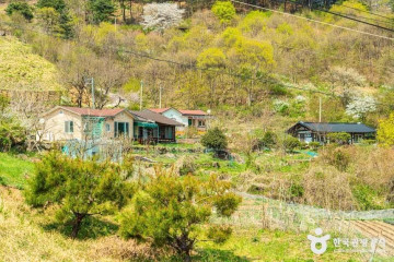 연곡사(구례) 여행 추천 - 메고지고
