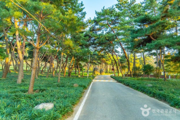 파도마을 여행 추천 - 메고지고