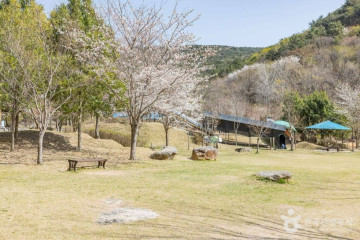 순천문화예술회관 여행 추천 - 메고지고