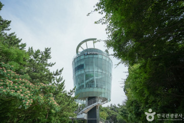월미짱랜드 여행 추천 - 메고지고
