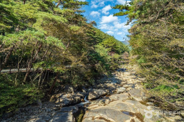 화엄사 여행 추천 - 메고지고
