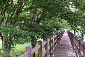 모후산 여행 추천 - 메고지고